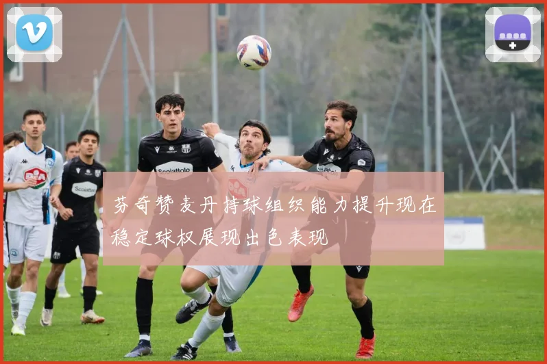 芬奇赞麦丹持球组织能力提升现在稳定球权展现出色表现