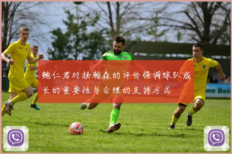 鲍仁君对杨瀚森的评价强调球队成长的重要性与合理的支持方式